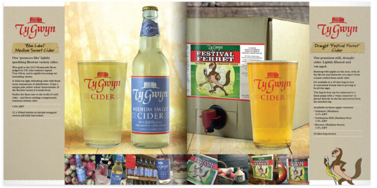 Ty Gwyn Cider trade brochure