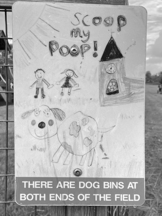 A sign drawn by a child asking dog owners to scoop up their dog's poop